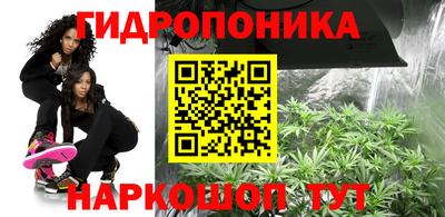 стафф Заволжье