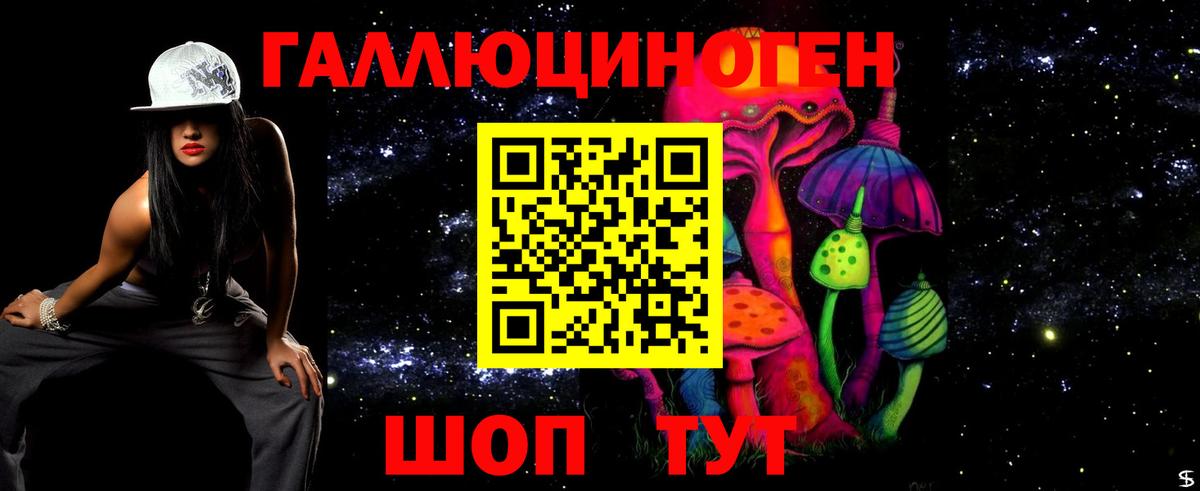 Псилоцибиновые грибы Cubensis Елабуга